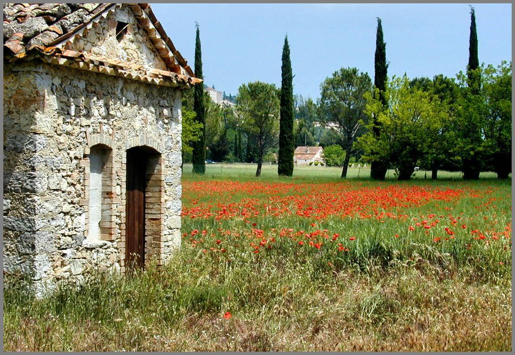 Provencal House In Fayence With Pool & Indoor Spa Værelse billede